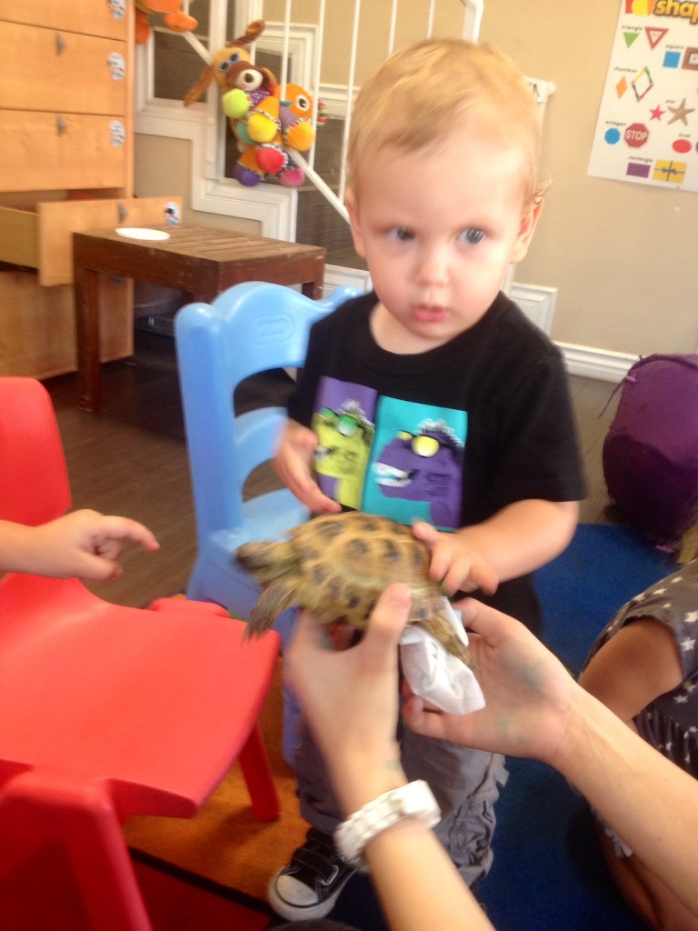 Of course, this picture is fuzzy because I didn't take it. Daycare took it and sent me my son's first real life encounter with his beloved "Turler". 